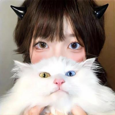 走佬孖宝